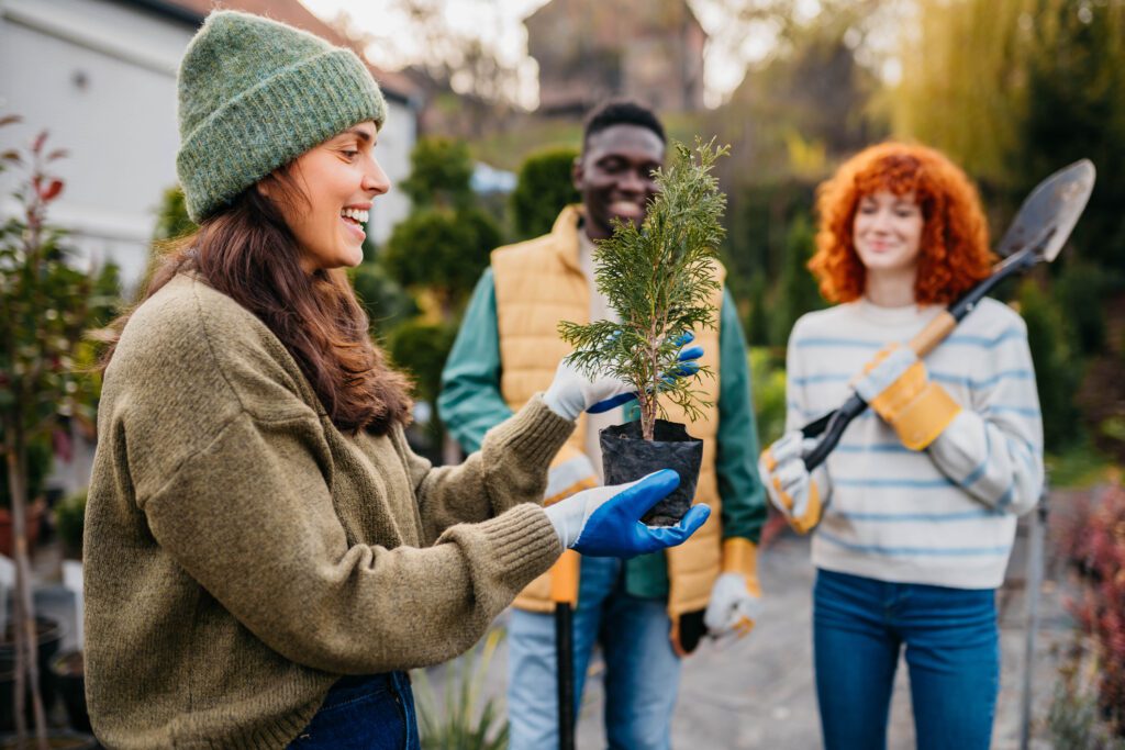 Friends gardening together with a small plant