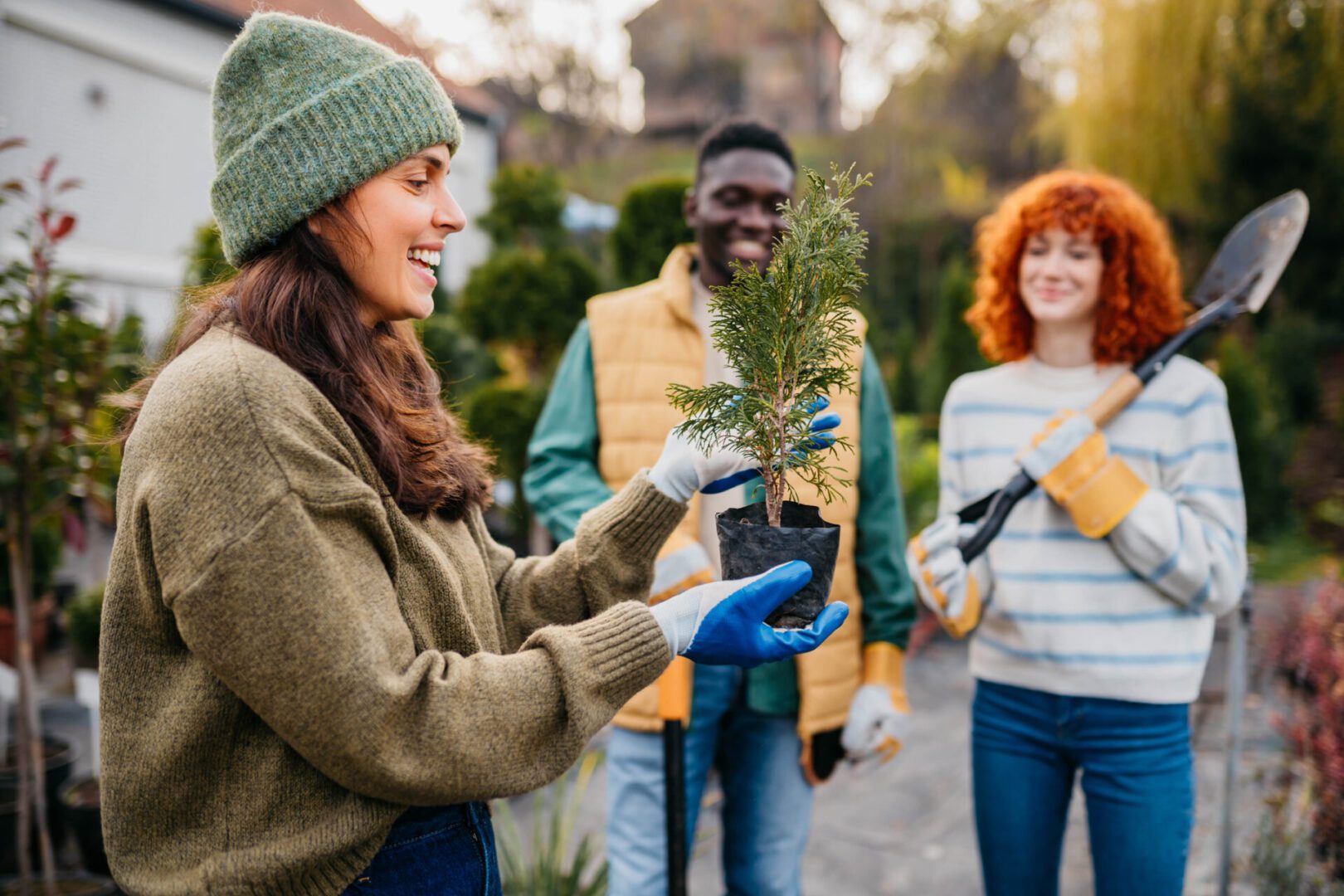 Friends gardening together with a small plant