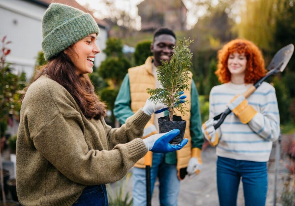 Friends gardening together with a small plant